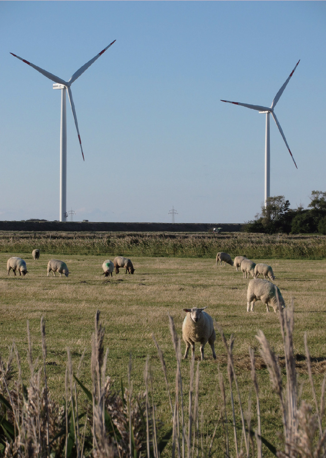 風行電生：全球風力發電裝置持續大幅躍升