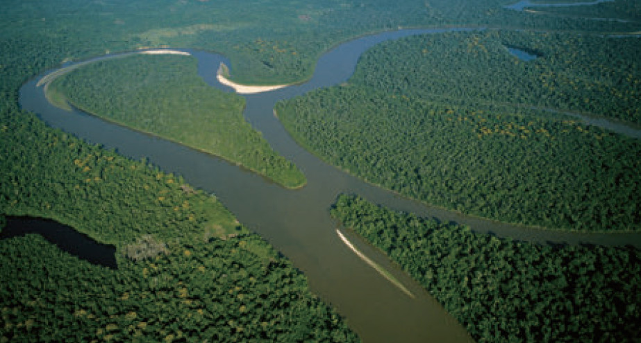 亞馬遜雨林吸碳能力已大幅衰退