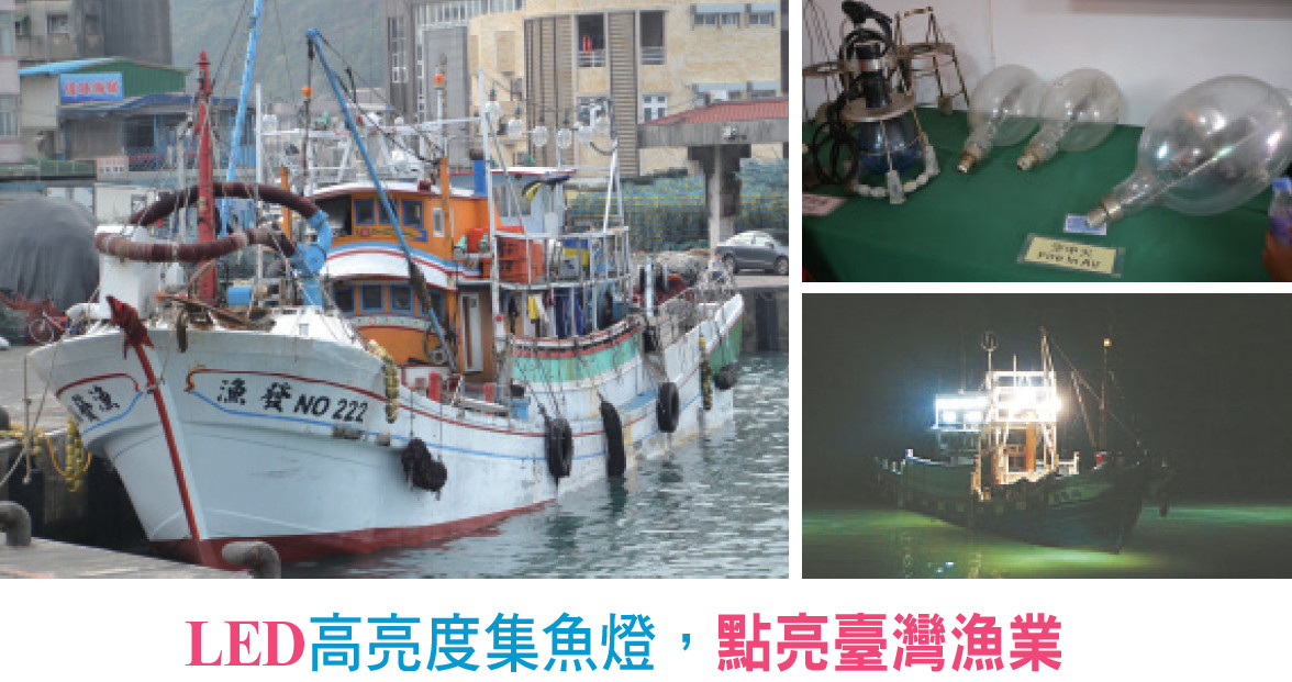 LED高亮度集魚燈，點亮臺灣漁業