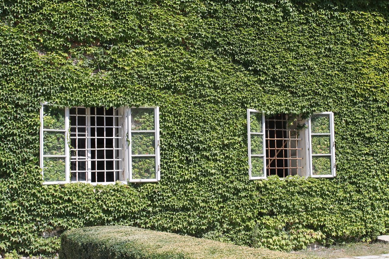建築節能可以有很多方式，以綠色植物降溫也是一種