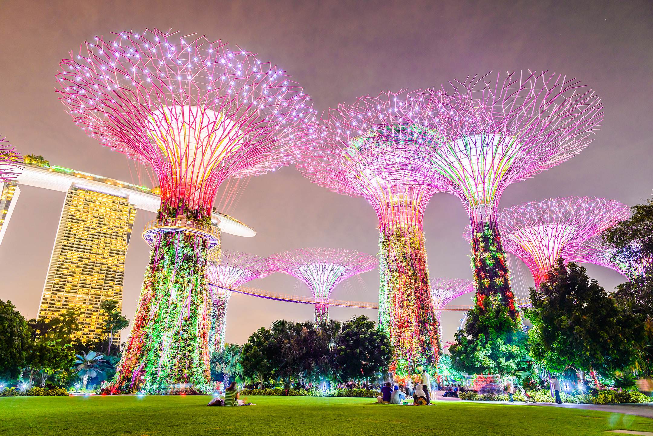 新加坡濱海灣花園超級樹